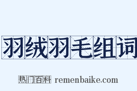 羽绒羽毛组词是什么意思的图片